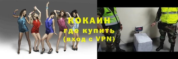 ешки Гусев